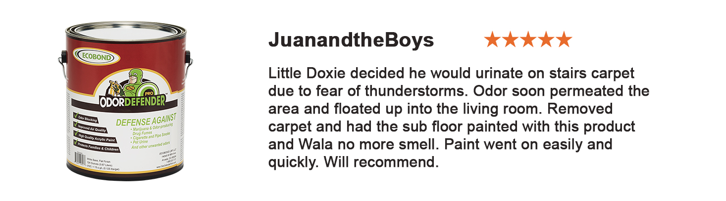 JuanandtheBoys - Reviews